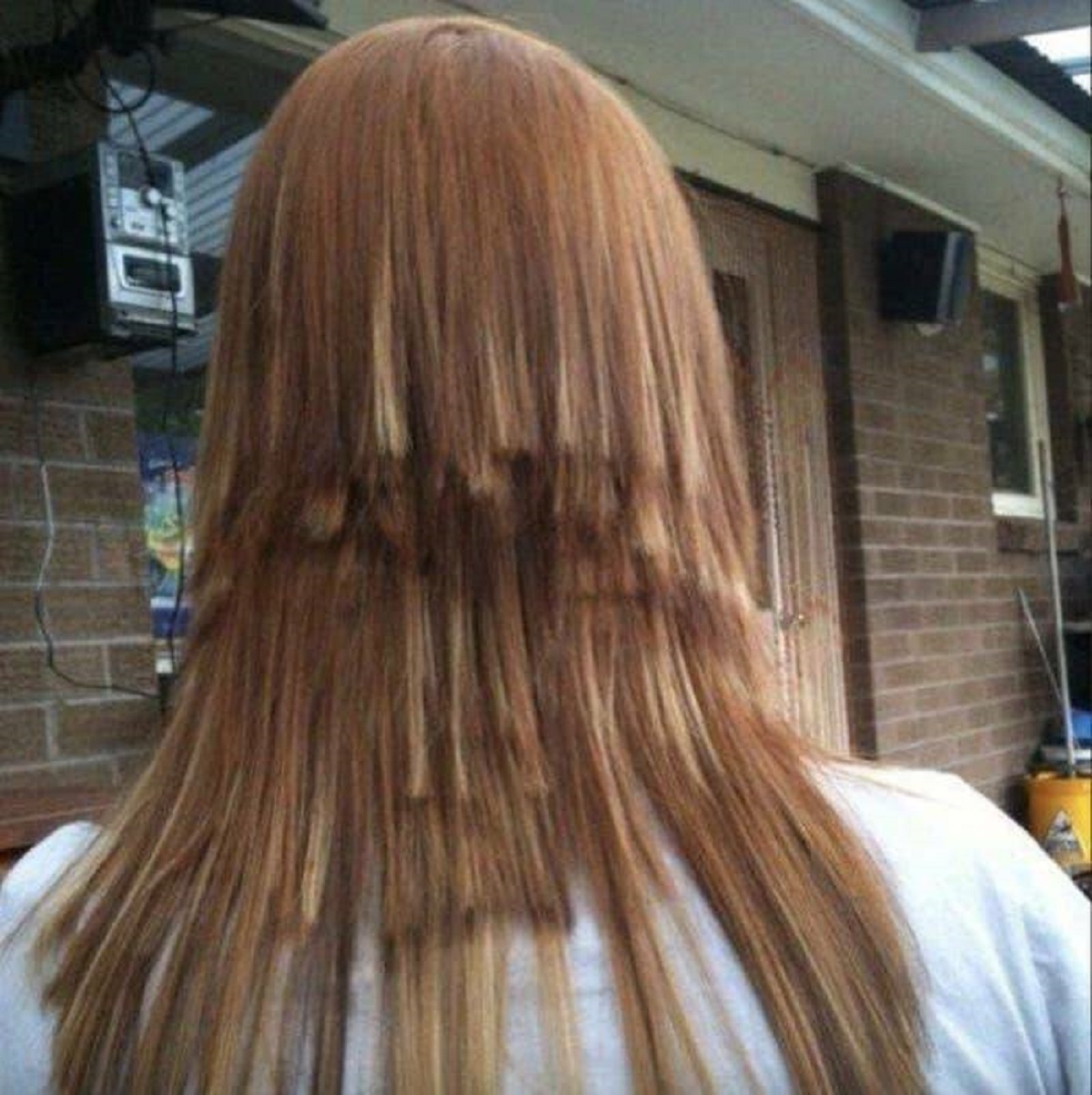 This person didn't get that it was a bad idea to hire a cheap hairstylist off Craigslist: