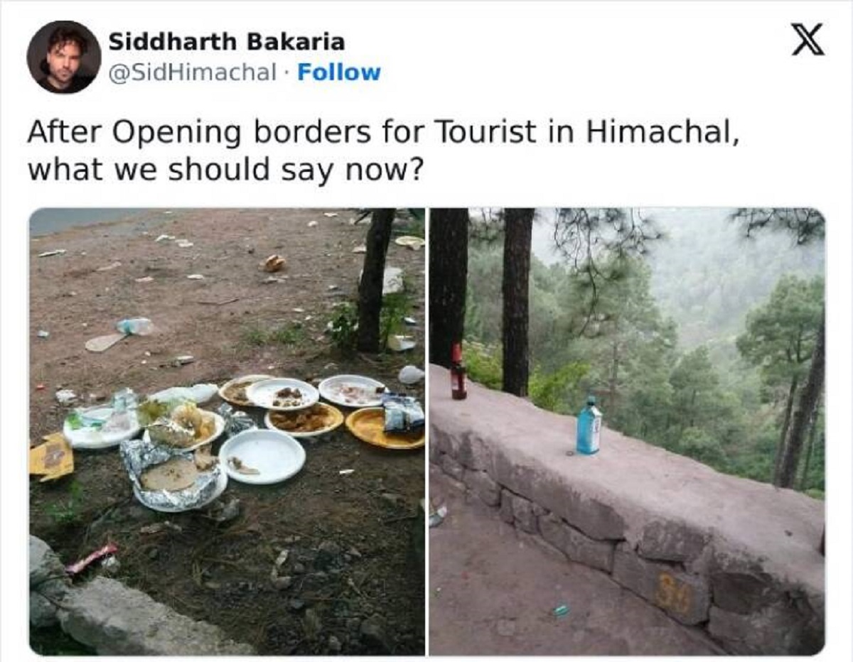 tree - Siddharth Bakaria After Opening borders for Tourist in Himachal, what we should say now? X