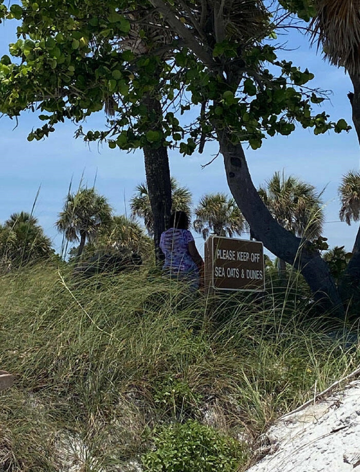 tree - Please Keep Off Sea Cats&Dunes