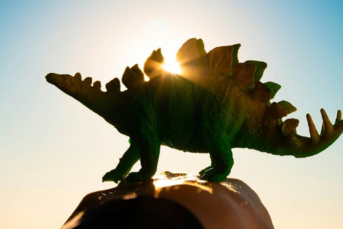 Well all know the dinosaurs died out a long time ago (~64 million years ago). But what's even longer: they roamed the Earth for over 120 million years.

The Stegosaurus went extinct 80 million years before the T-Rex even existed.