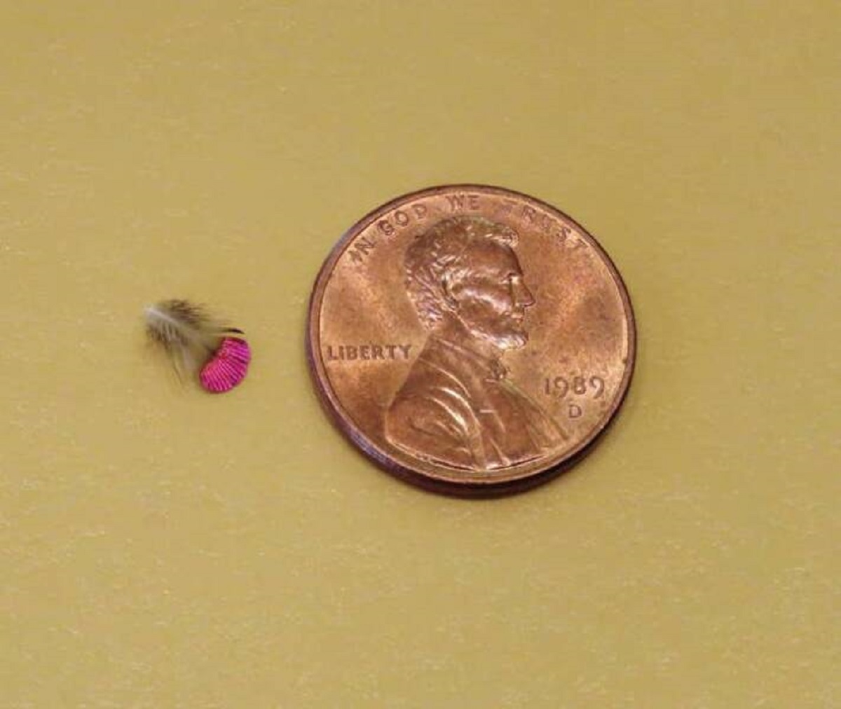 This is how tiny a hummingbird's feather is compared to a penny: