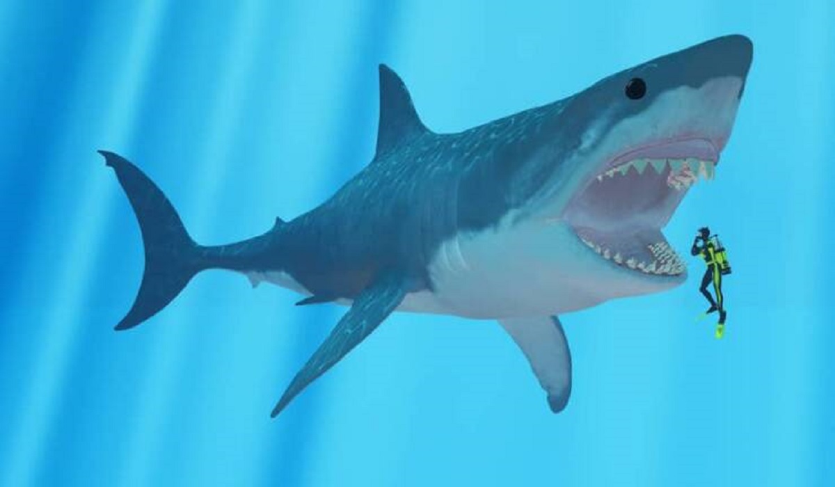 This is how big the largest shark that ever lived, the Megalodon, was compared to a human: