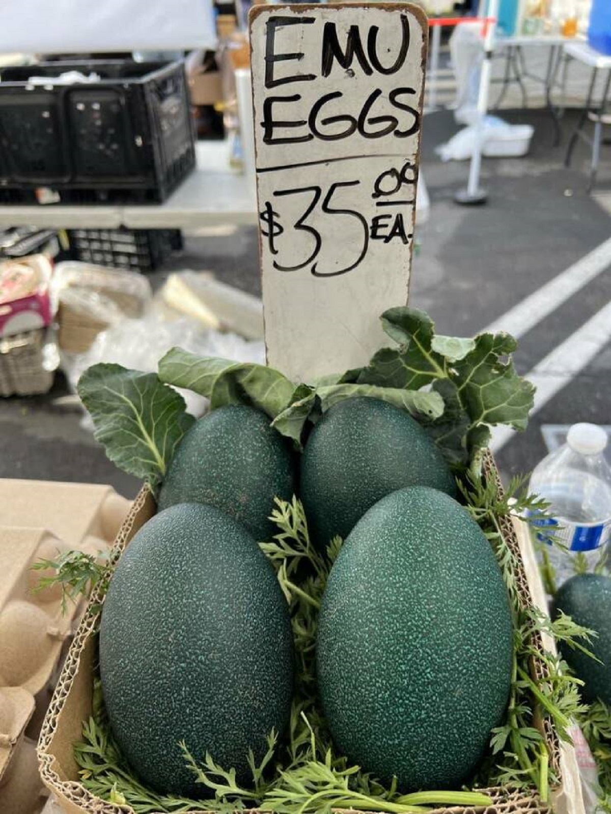 Emu eggs look like something straight out of Game of Thrones: