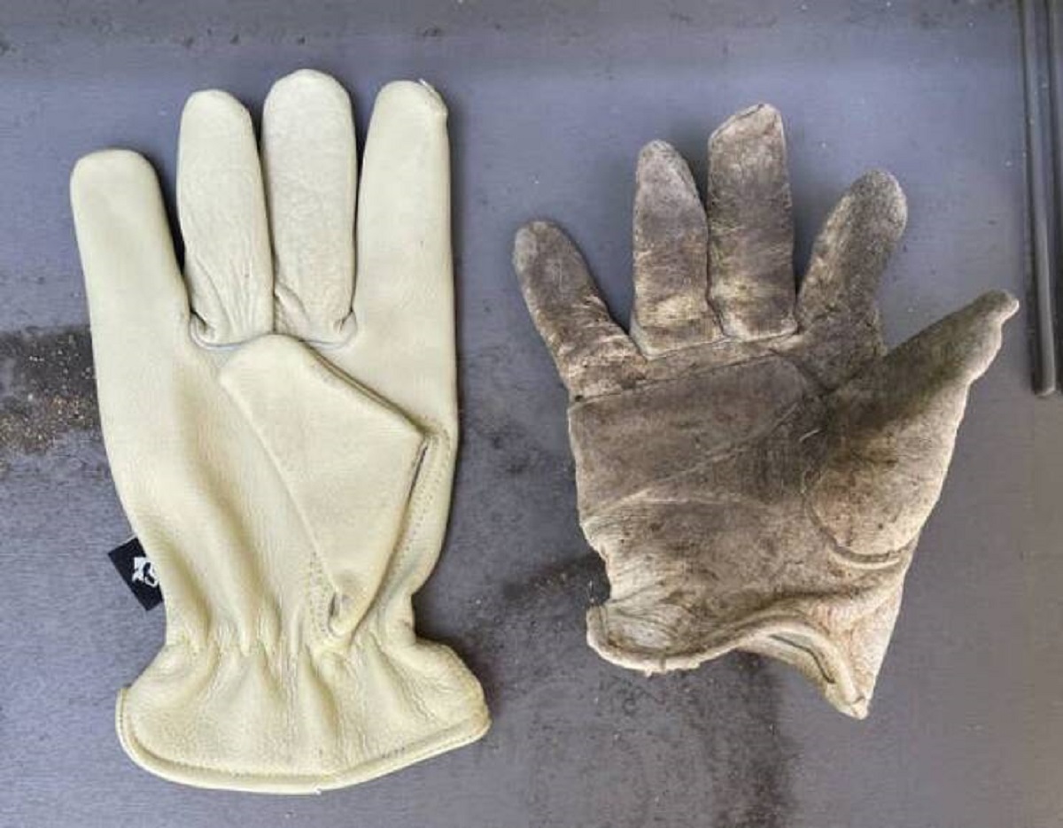 A new gardening glove vs. a glove that's helped birth many plants: