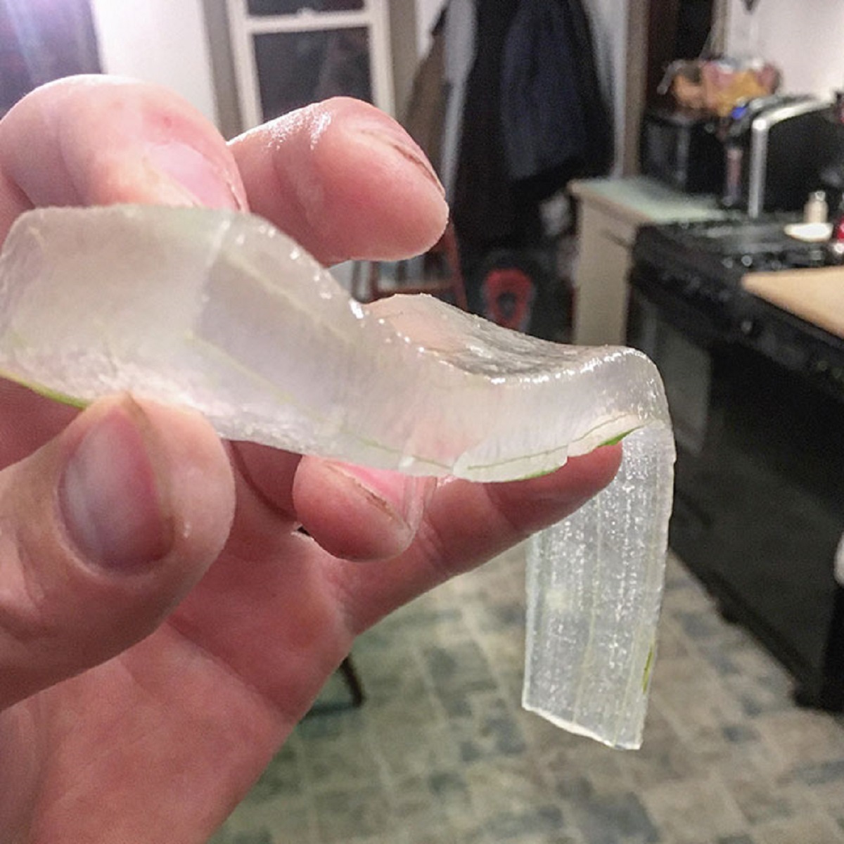 This Peeled Aloe Vera Leaf