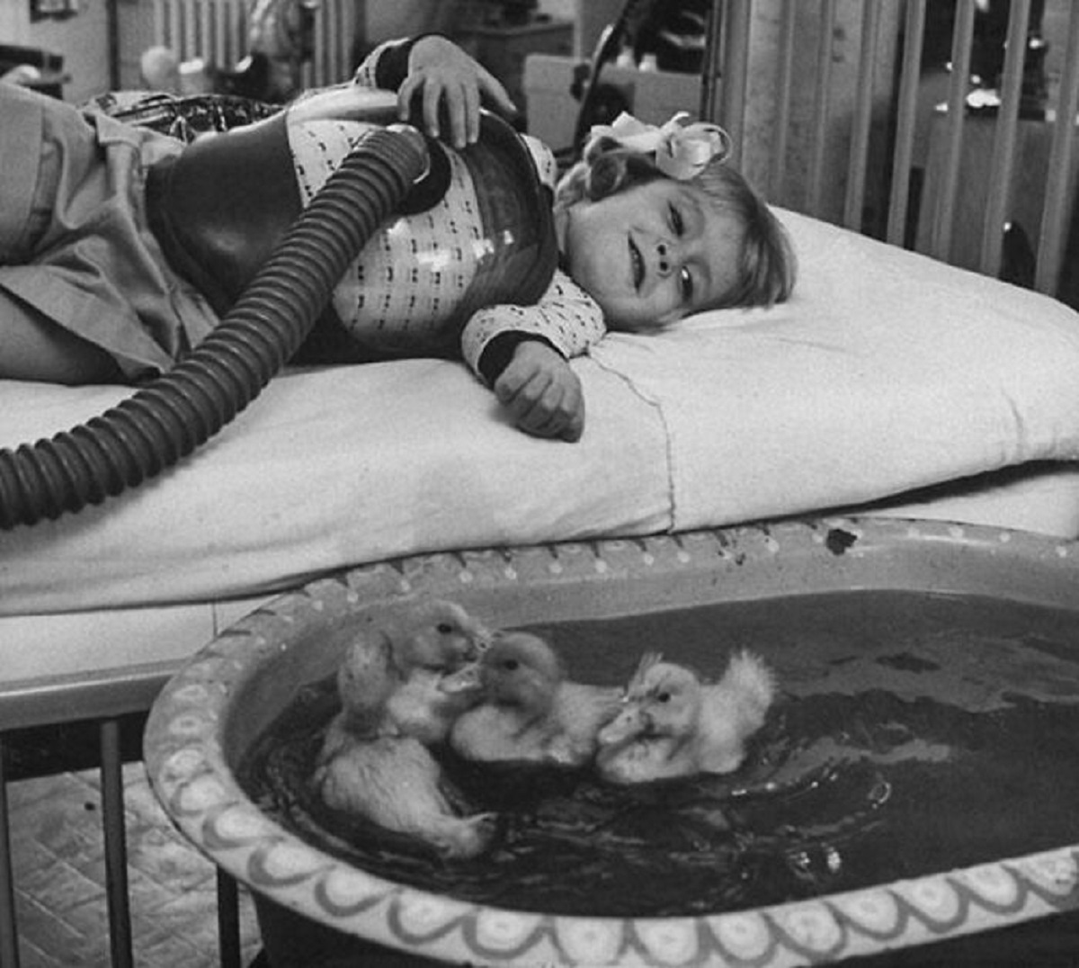 ducklings being used as part of medical therapy in 1956