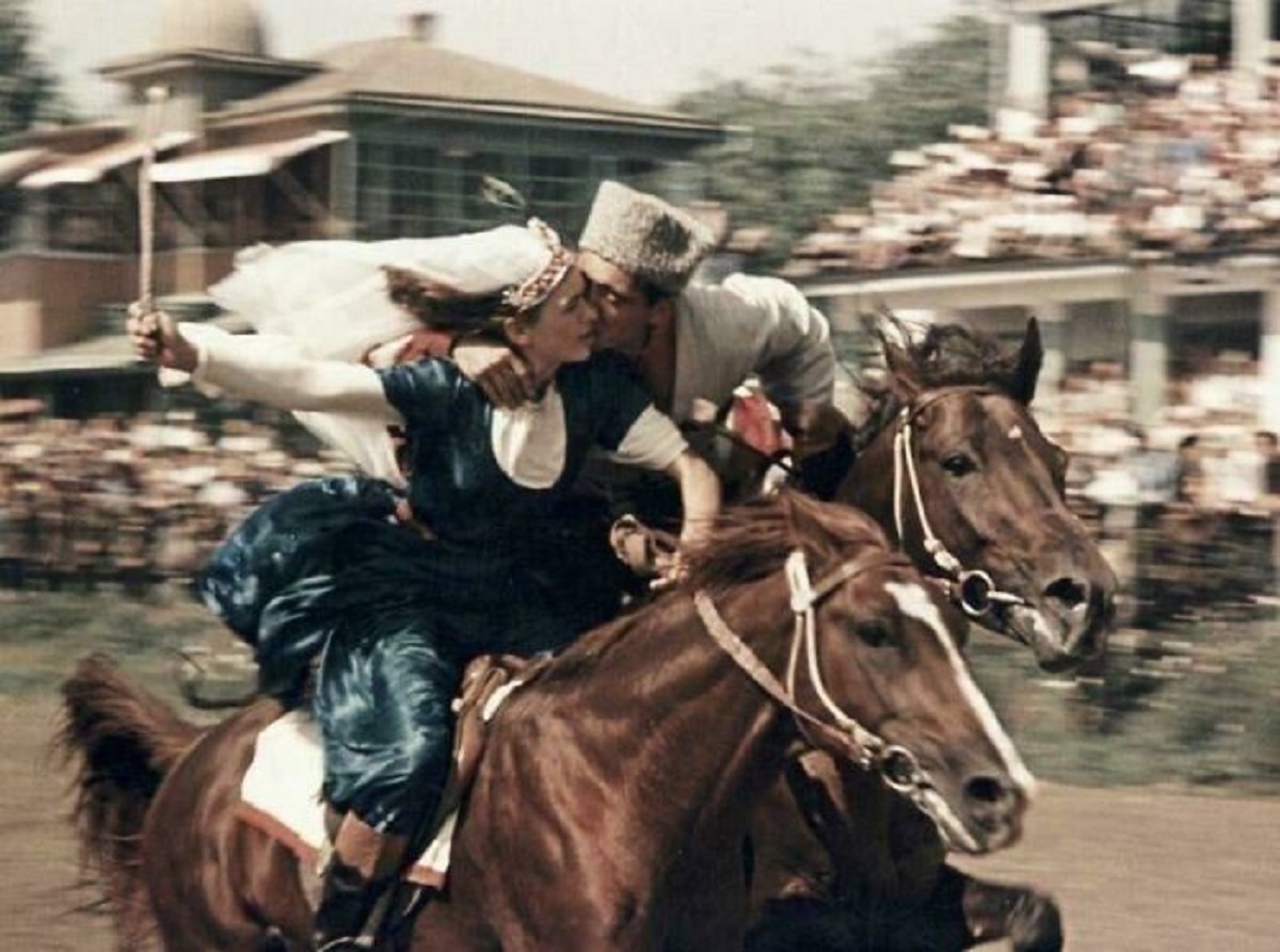 azerbaijani wedding horse