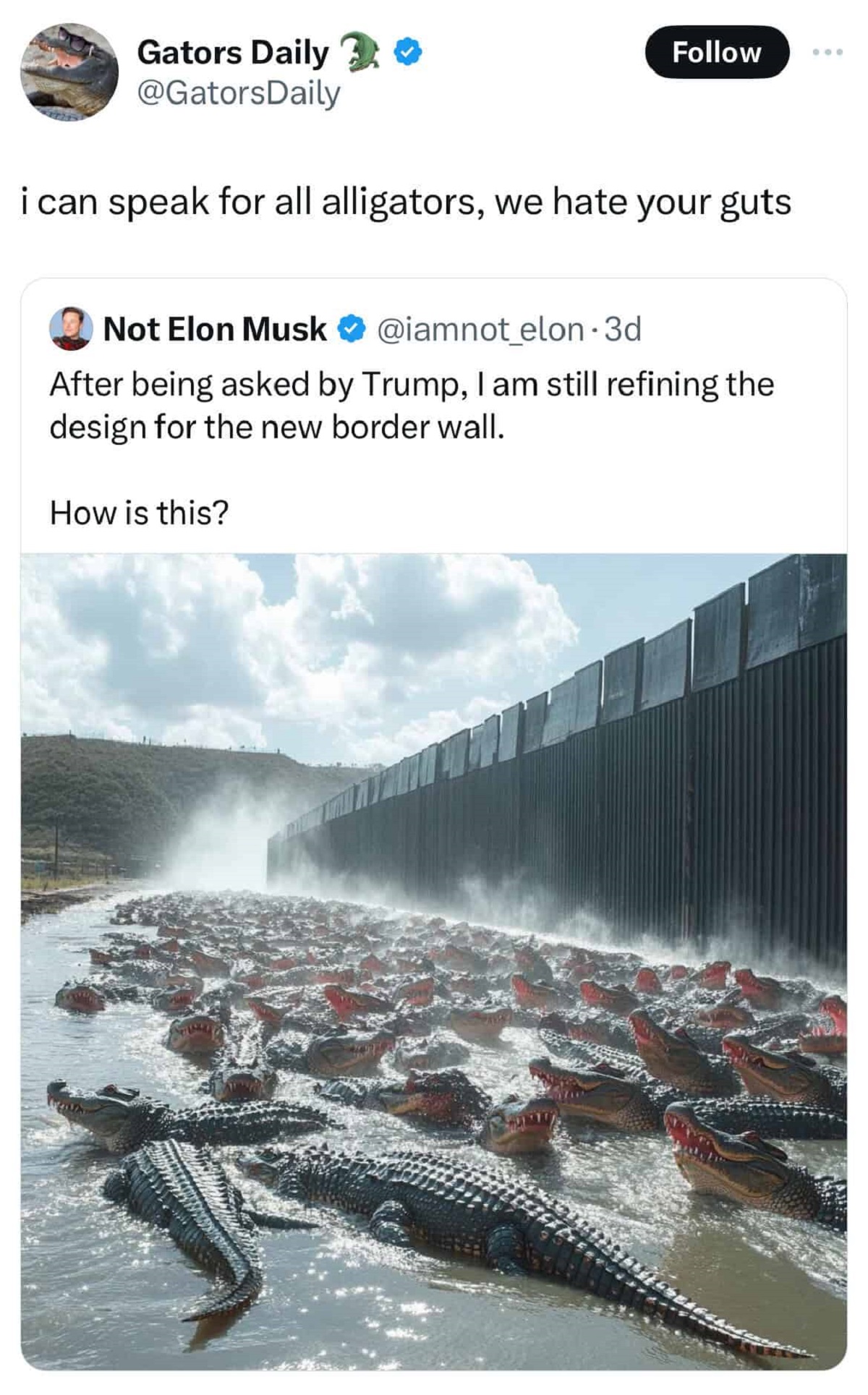 screenshot - Gators Daily i can speak for all alligators, we hate your guts Not Elon Musk After being asked by Trump, I am still refining the design for the new border wall. How is this?