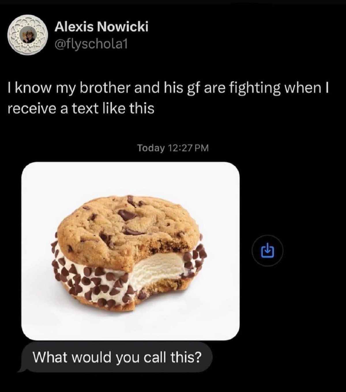 original chipwich package - Alexis Nowicki I know my brother and his gf are fighting when I receive a text this Today What would you call this?