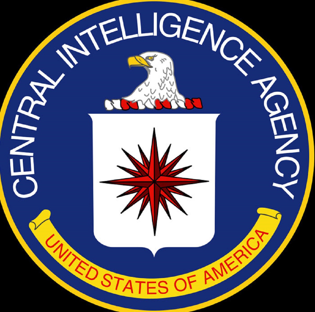 The CIA fed unreasonable amounts of d***s to people to document the effects and search for new weapons

I can't imagine taking heroic doses of LSD and then getting grilled by government scientists for days.