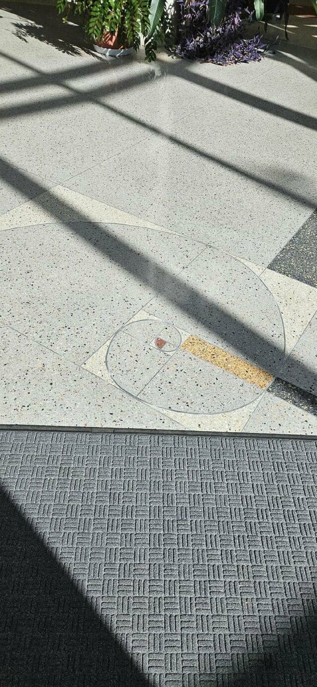 "This tile inside of my school's science building shows the golden ratio"