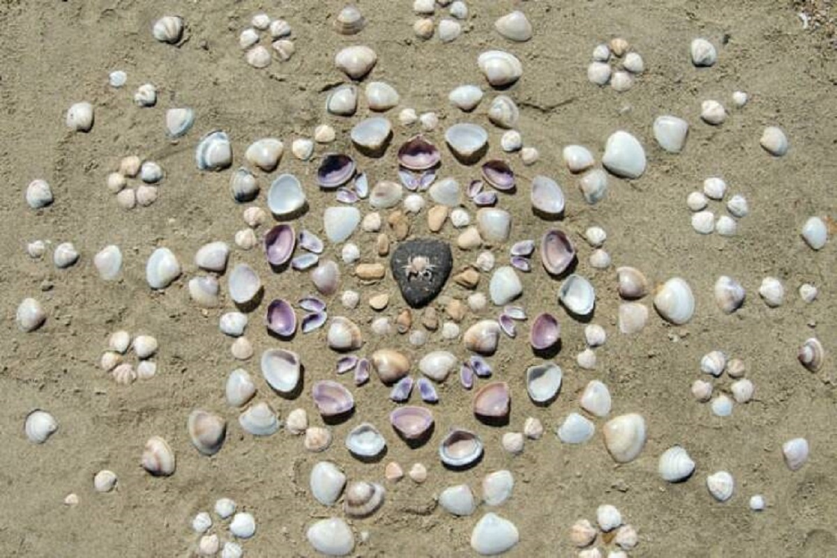 "Someone built this crab shrine on the beach"