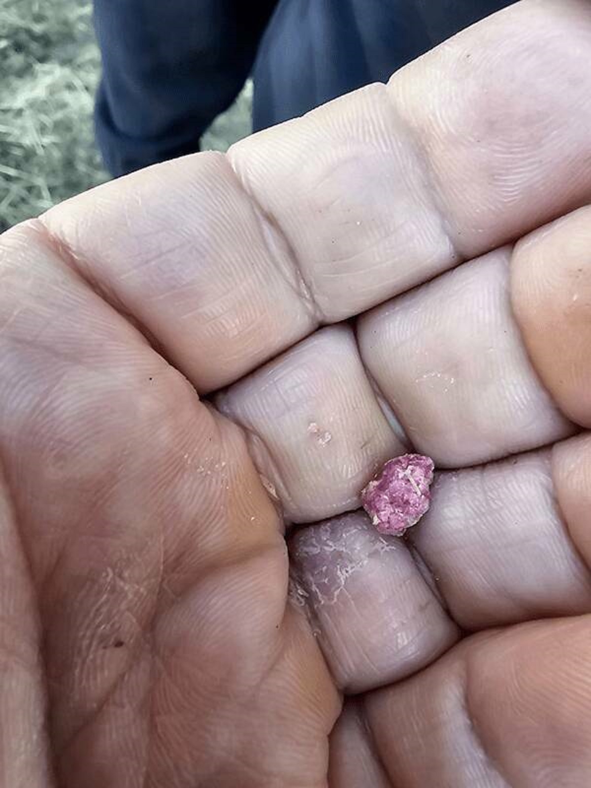 "This person licked a random pink rock. Turns out it was rat poison."