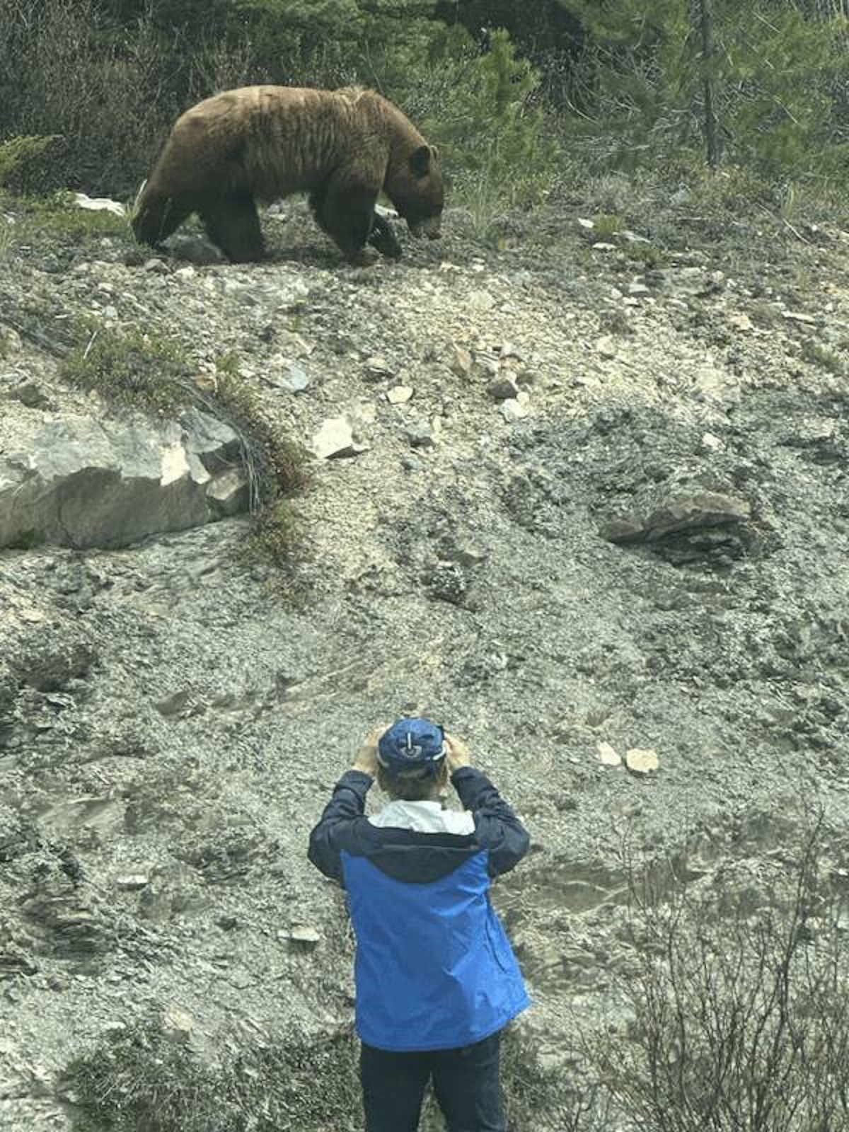 "Casually a few feet away from the bear"