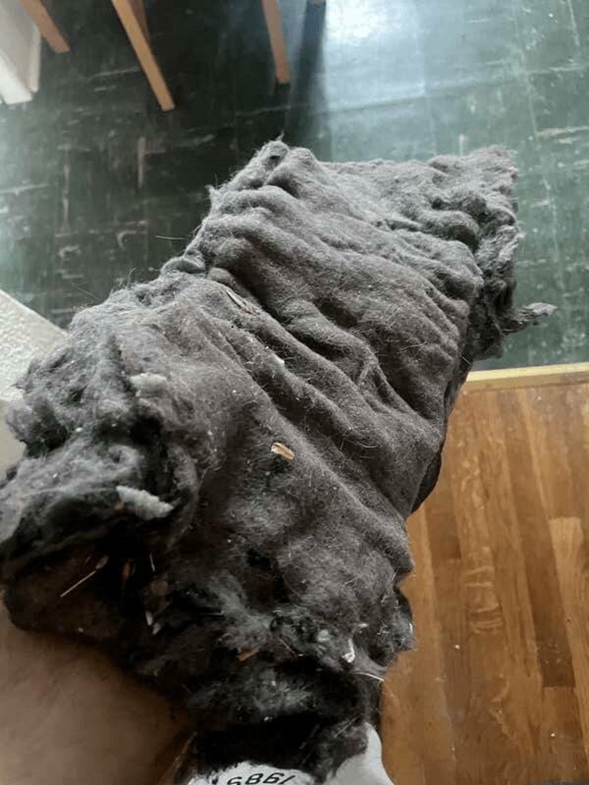 “Bought a washer and dryer about 5 months ago and didn’t realize that I was supposed to empty the lint trap after every use. Finally did it today and my girlfriend’s eyes went wide and she told me I could have burnt the house down”