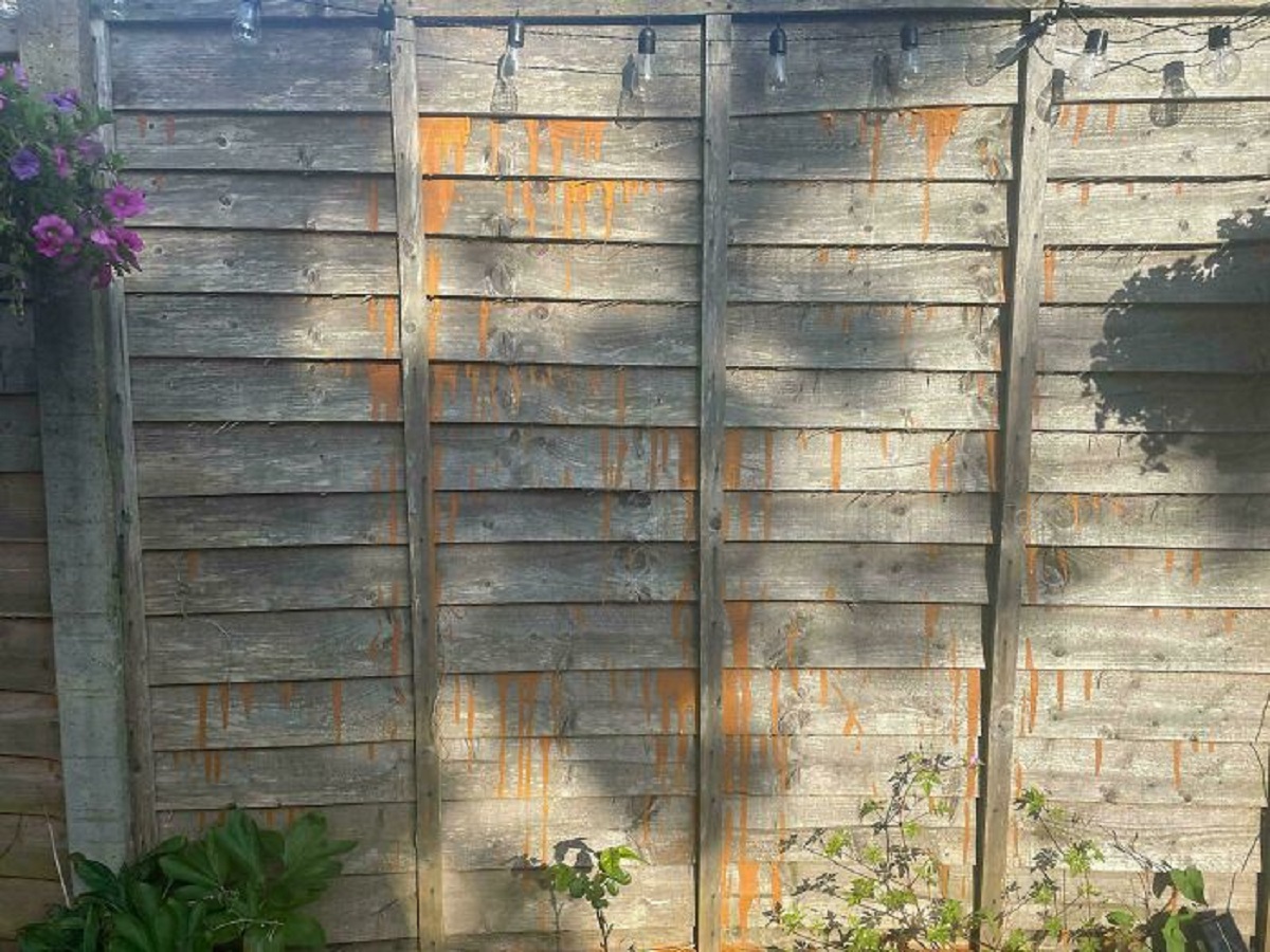 Bought And Installed Some Lovely New Fence Panels... Not Quite To The Taste Of The Next-Door Neighbor Though