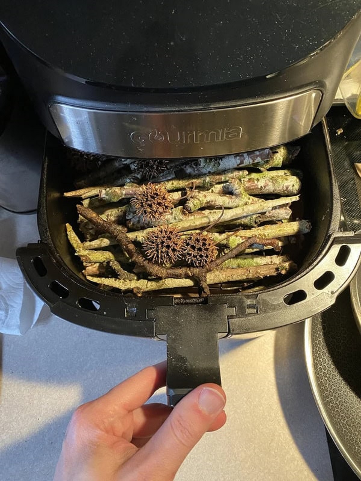 “Roommate using the air fryer to dry random sticks and gumballs”