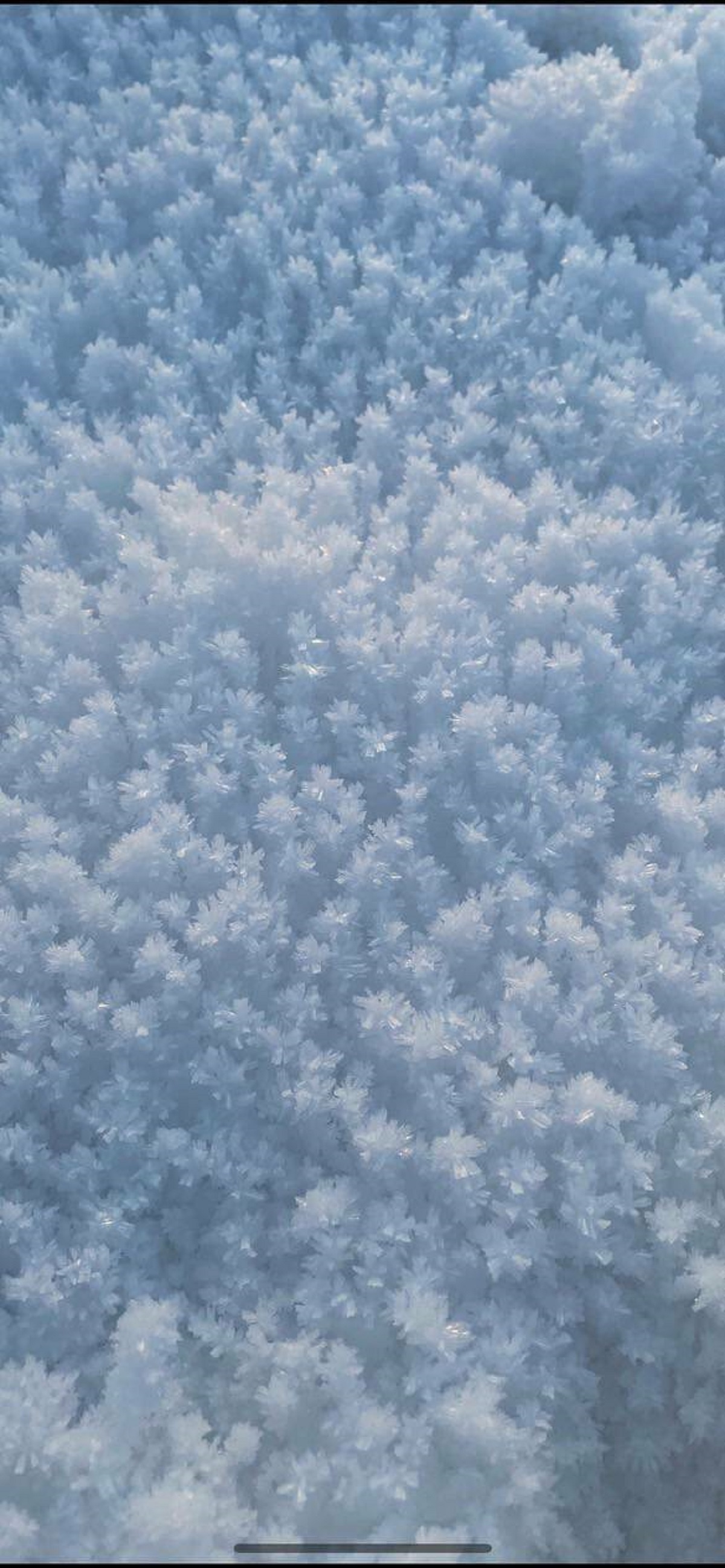 "The snow I saw in Sweden looks like rock candy"