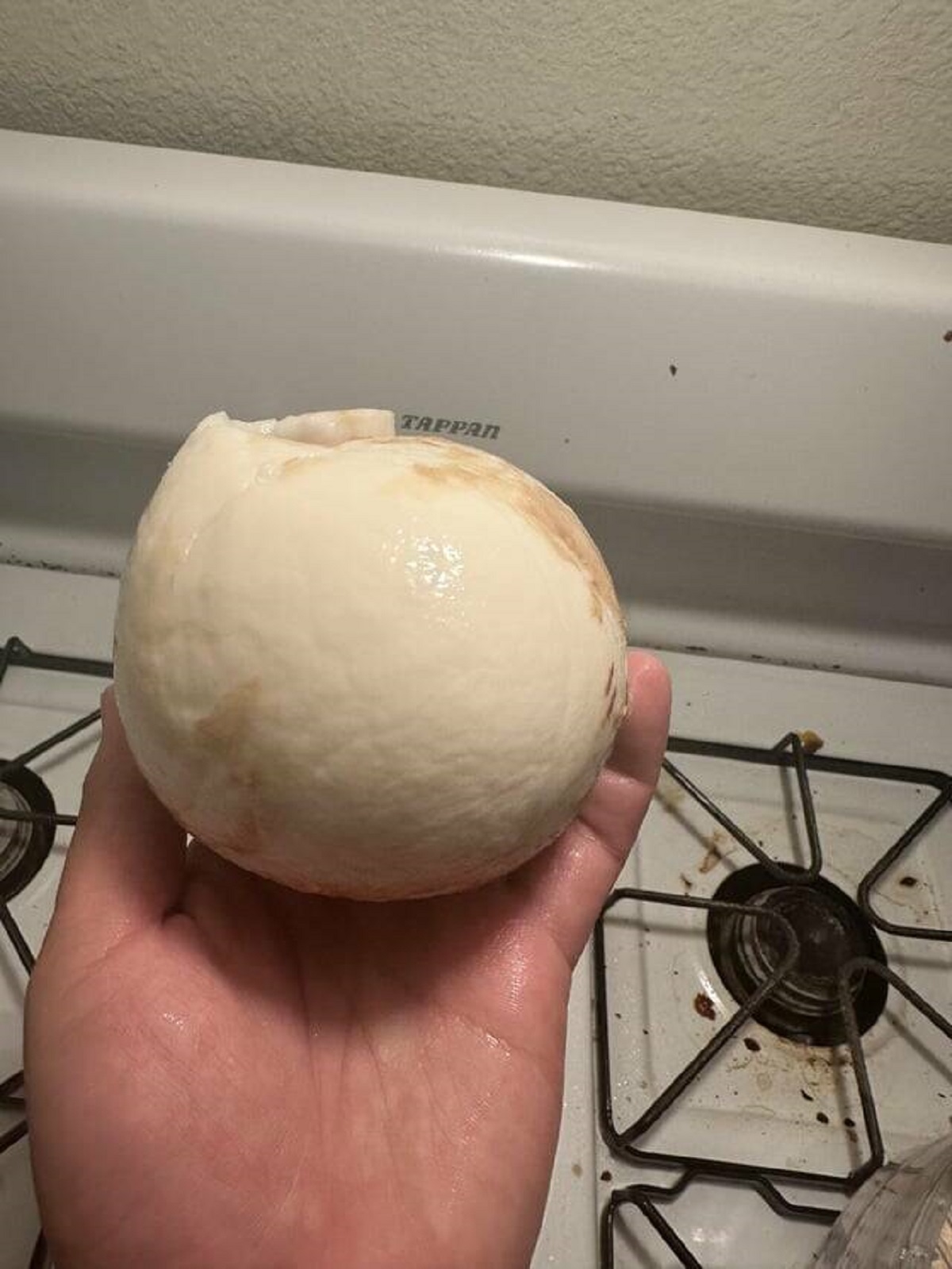 "I shelled an entire coconut and was left with an almost perfect coconut meat globe"