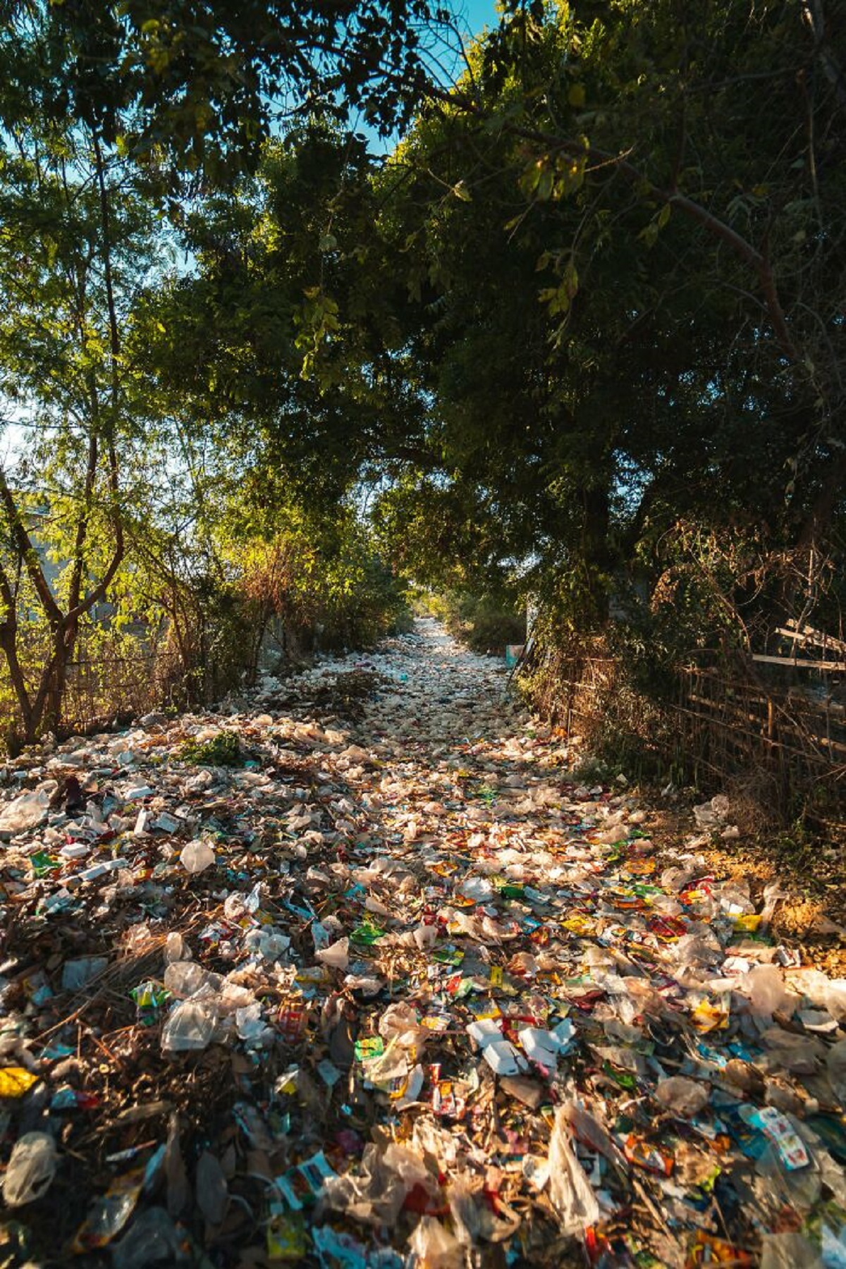 50% of all plastics created have been since the year 2000

In recent brain samples inspected, 0.5% of the tissue was plastic by weight.

0.5% of our brains are now plastic. Most of the plastic found (40%] was polyethylene.

I cannot confirm this I'm only parroting it but it lives rent free in my head lately, like the plastic probably.