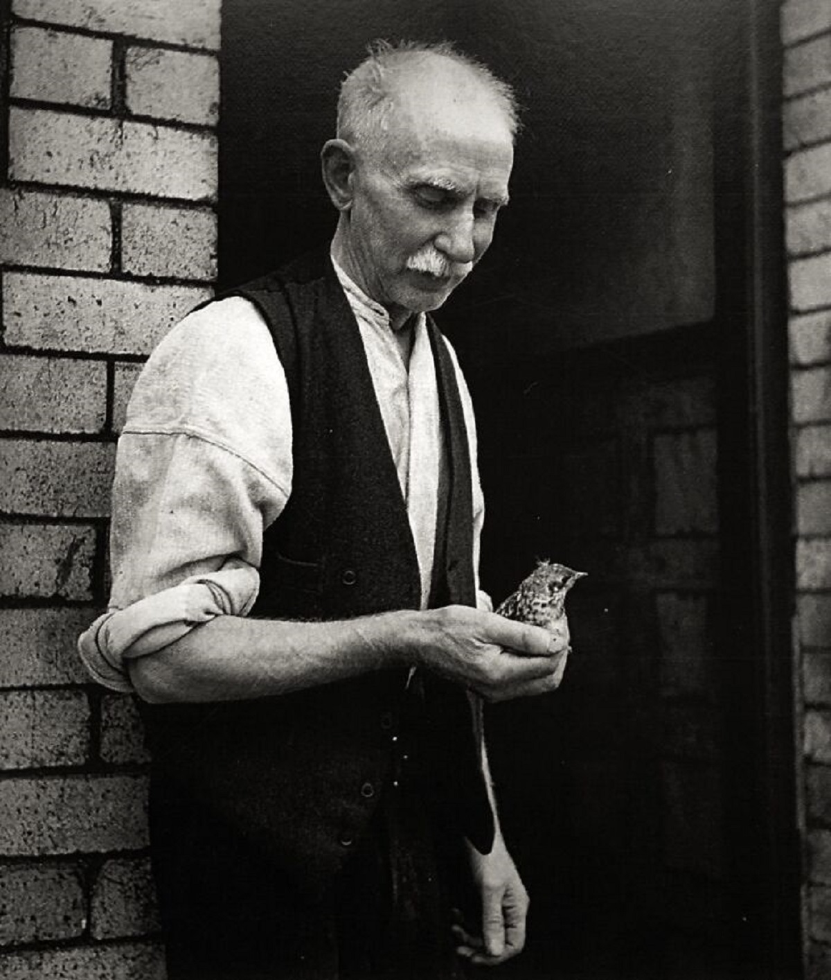 Man With Bird, Tyneside, England, Ca. 1937