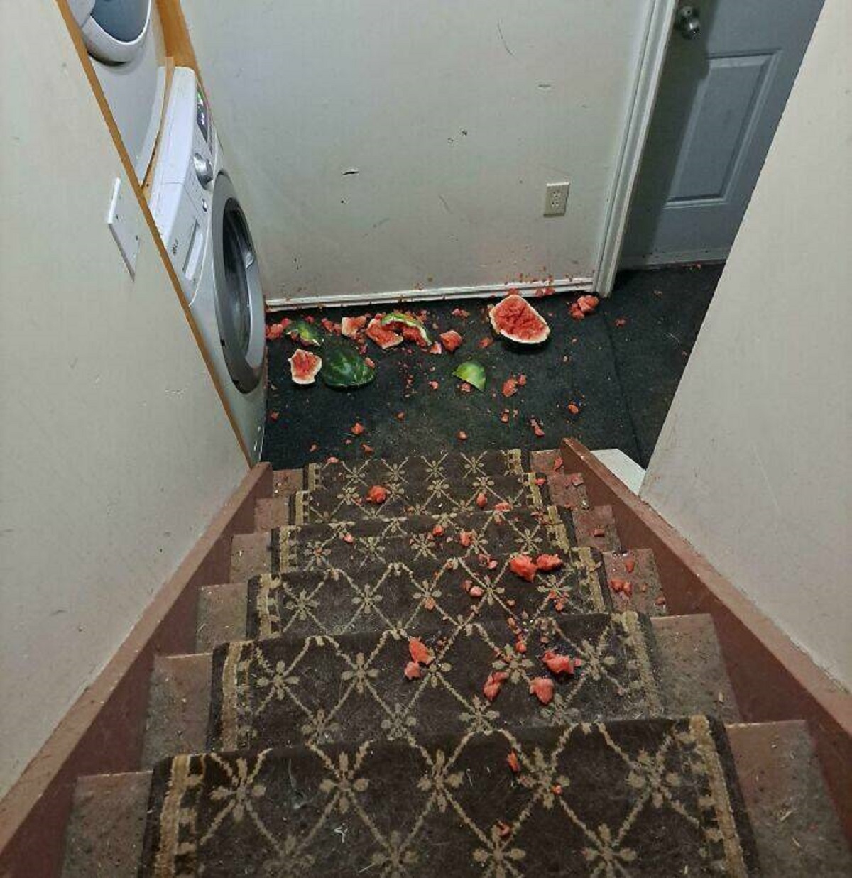 "Rearranging Fridge, Watermelon Rolled Out. I Ignored Thinking I'd Grab It In A Second. It Continued To Roll Down The Nearby Staircase"