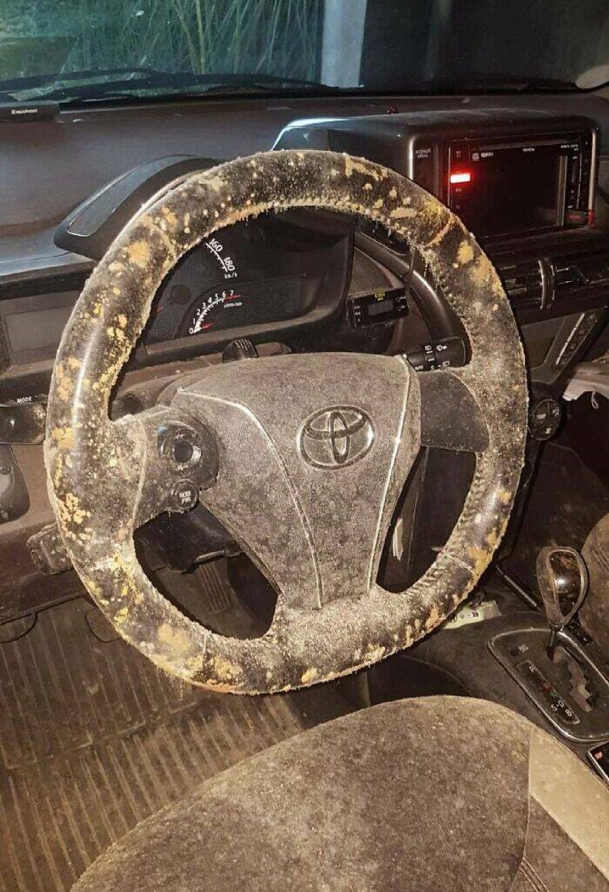 "My Mom Left Her Car For 2 Months, Came Back To It Covered In Mold"