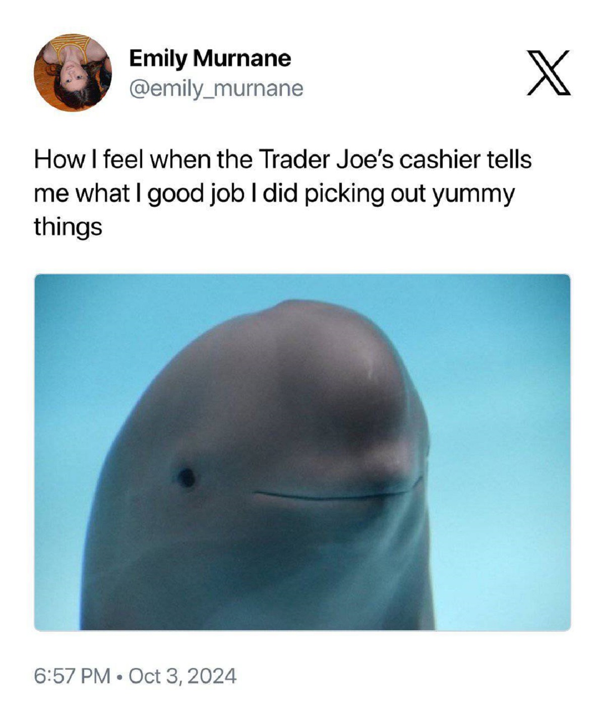 beluga whale - Emily Murnane How I feel when the Trader Joe's cashier tells me what I good job I did picking out yummy things X