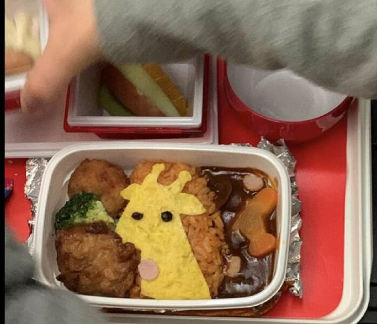 "My kid’s lunch on a Japan Airlines flight has an egg giraffe and airplane-shaped carrots"