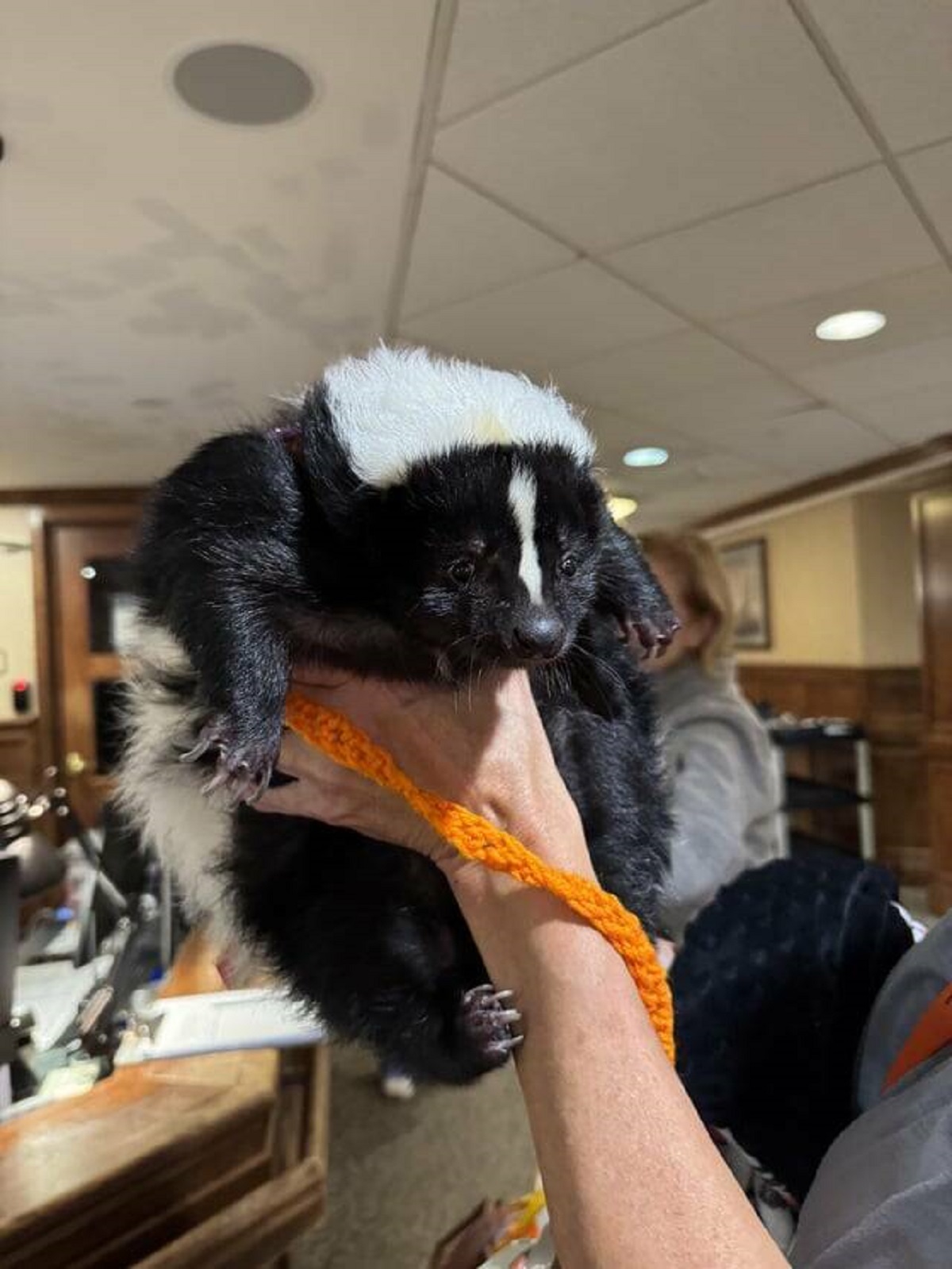 "My grandfather’s retirement home has an emotional support skunk that comes in"