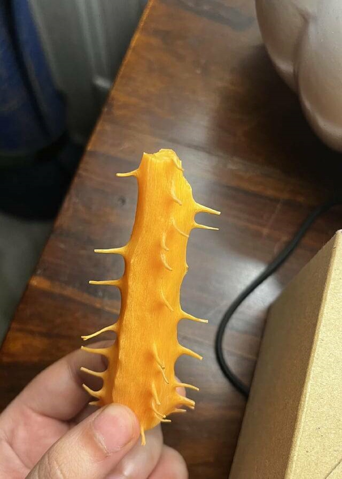 "The spiky “bone” of a carrot I just ate"