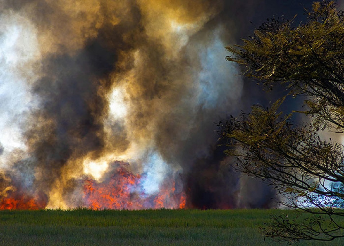 'Zombie fires' are fires that burned during the summer, stay underground all winter long and pop up above the surface again in the spring.