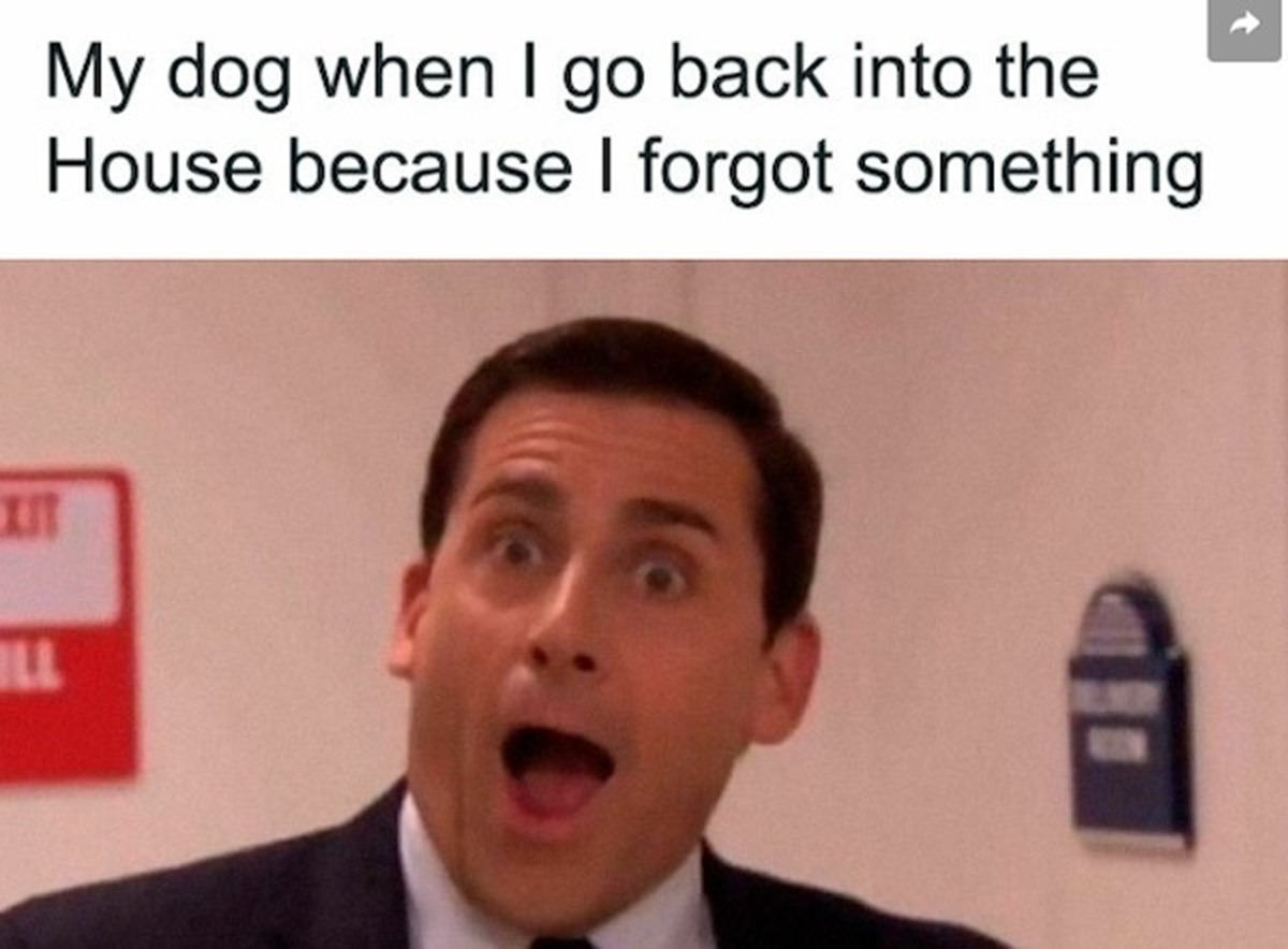 40 Memes That Speak the Truth