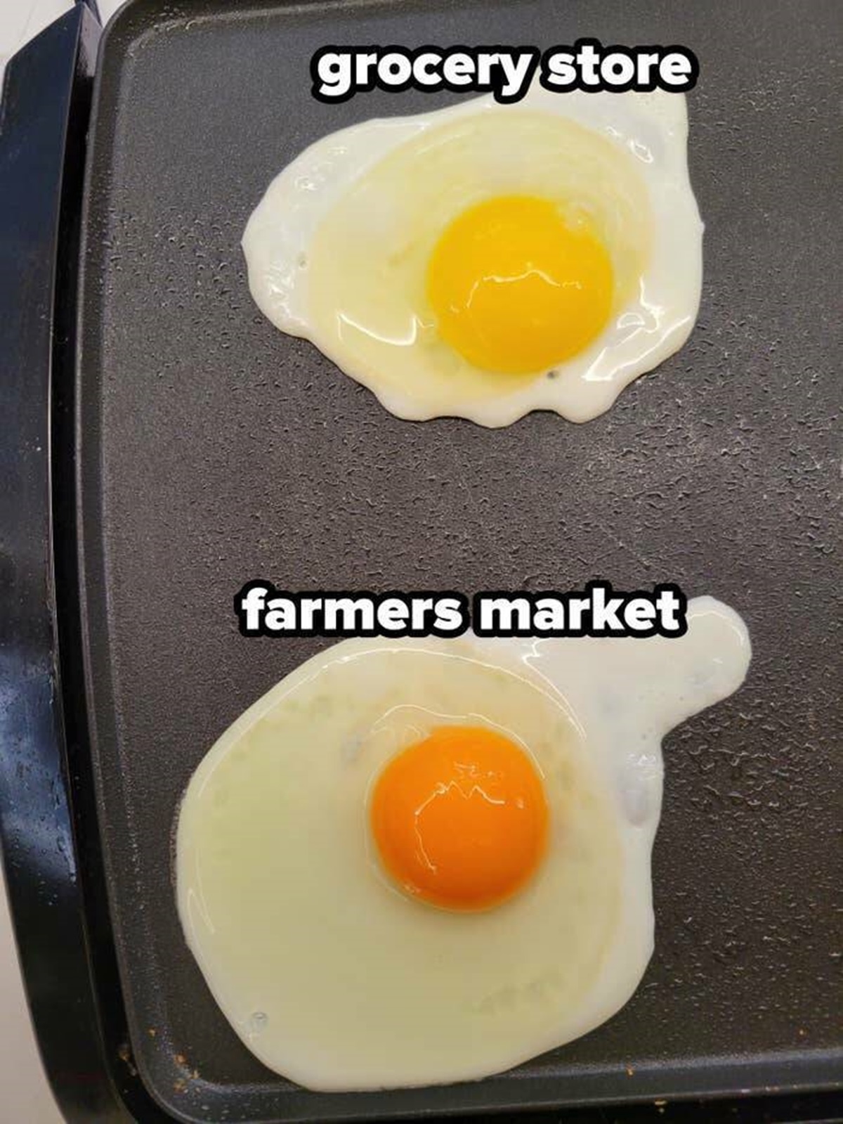 fried egg - grocery store farmers market