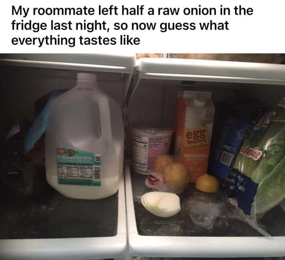 48 of the Worst Roommates Ever