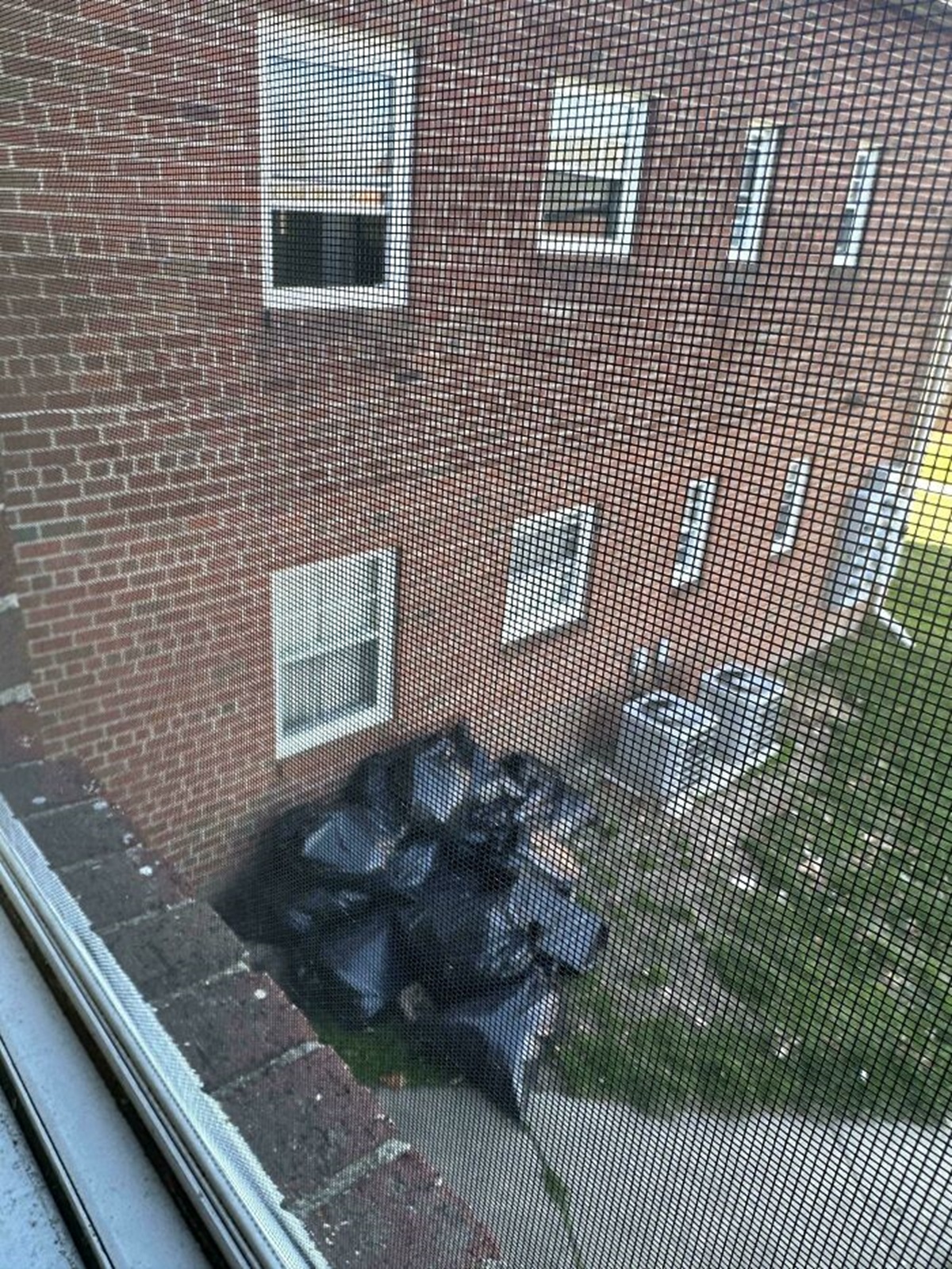 Neighbor Threw All This Trash Out Her Window And Keeps Throwing More. Today's Friday, And Management Won't Be Available Until Monday