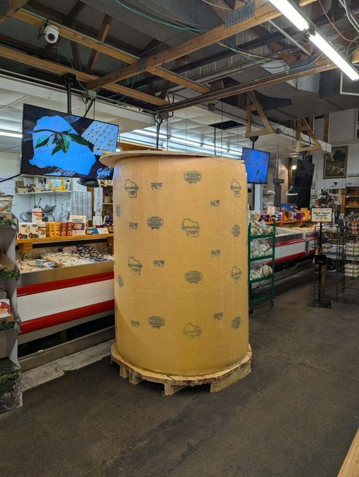 "6ft Cheese Wheel at local market"