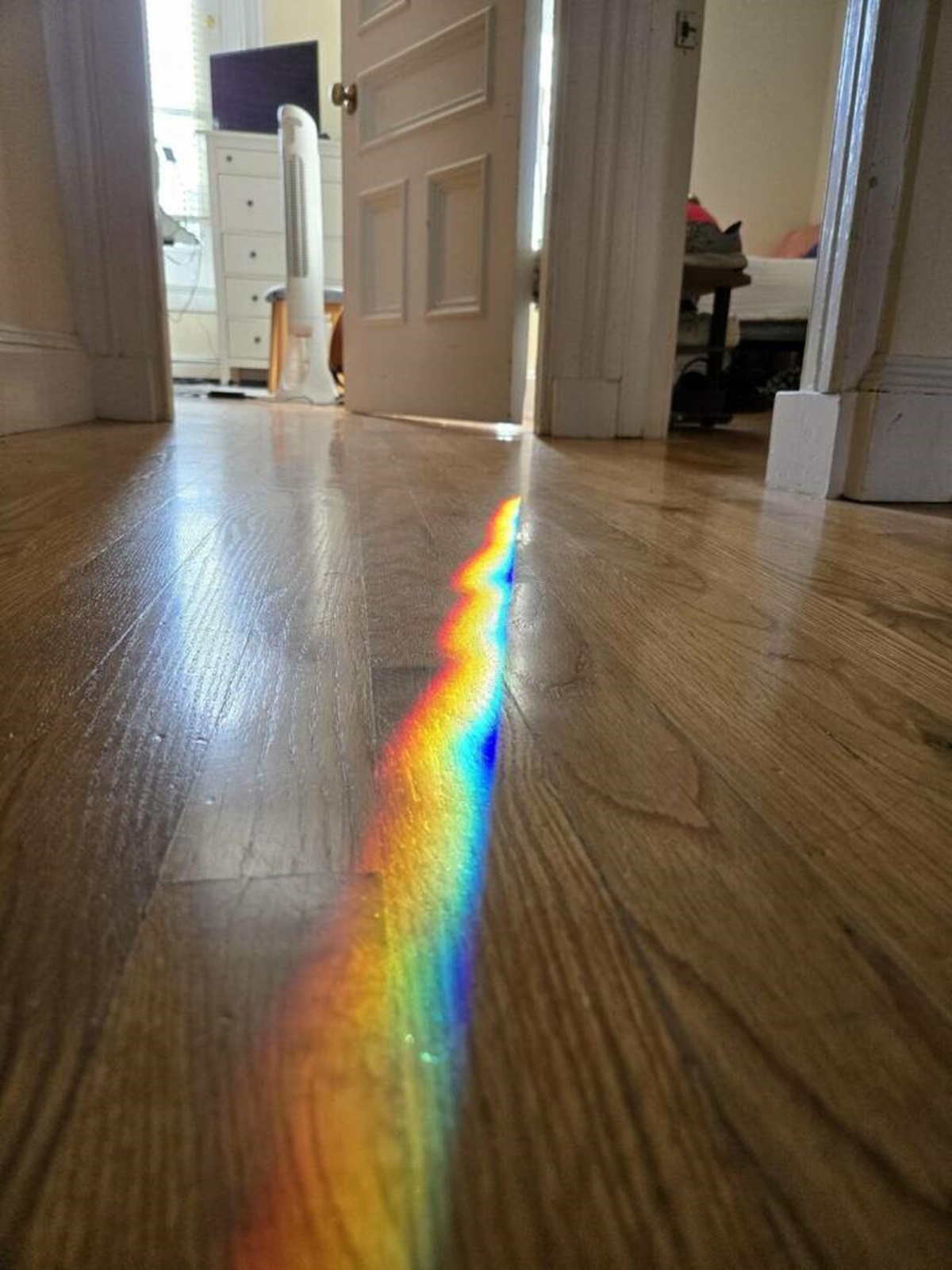 "Rainbow appears on my floor"