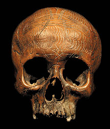 Human Skull Art