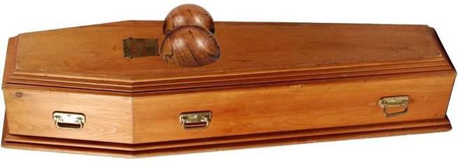 I want to meet the girl that will need this coffin