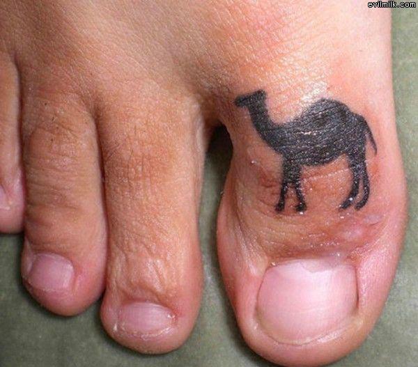wow a real camel toe