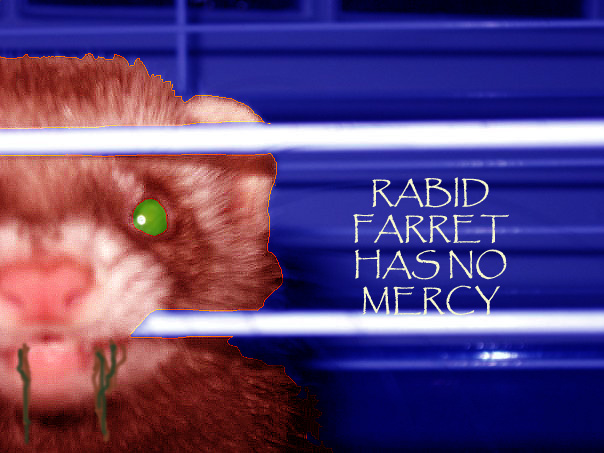 Rabid Ferret