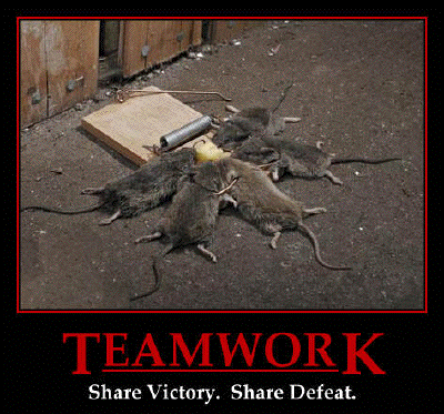 Best Demotivator Collection