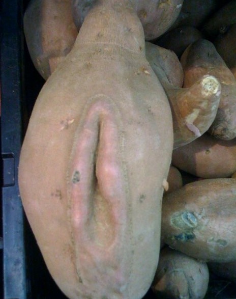 Ms. Potato Vagina HA