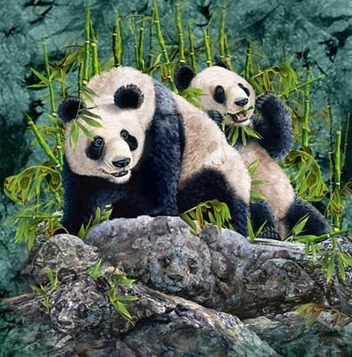 How Many Pandas Can You Spot?