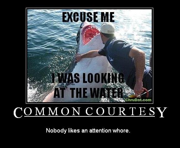 rude demotivational posters - Excuse Me I Was Looking At The Water Common Courtesy Chrubat.com Nobody an attention whore.