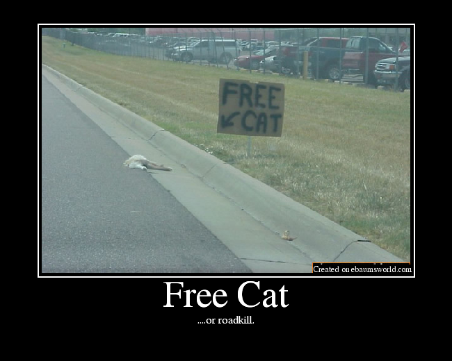 Free Cat - Picture | eBaum&rsquo;s World