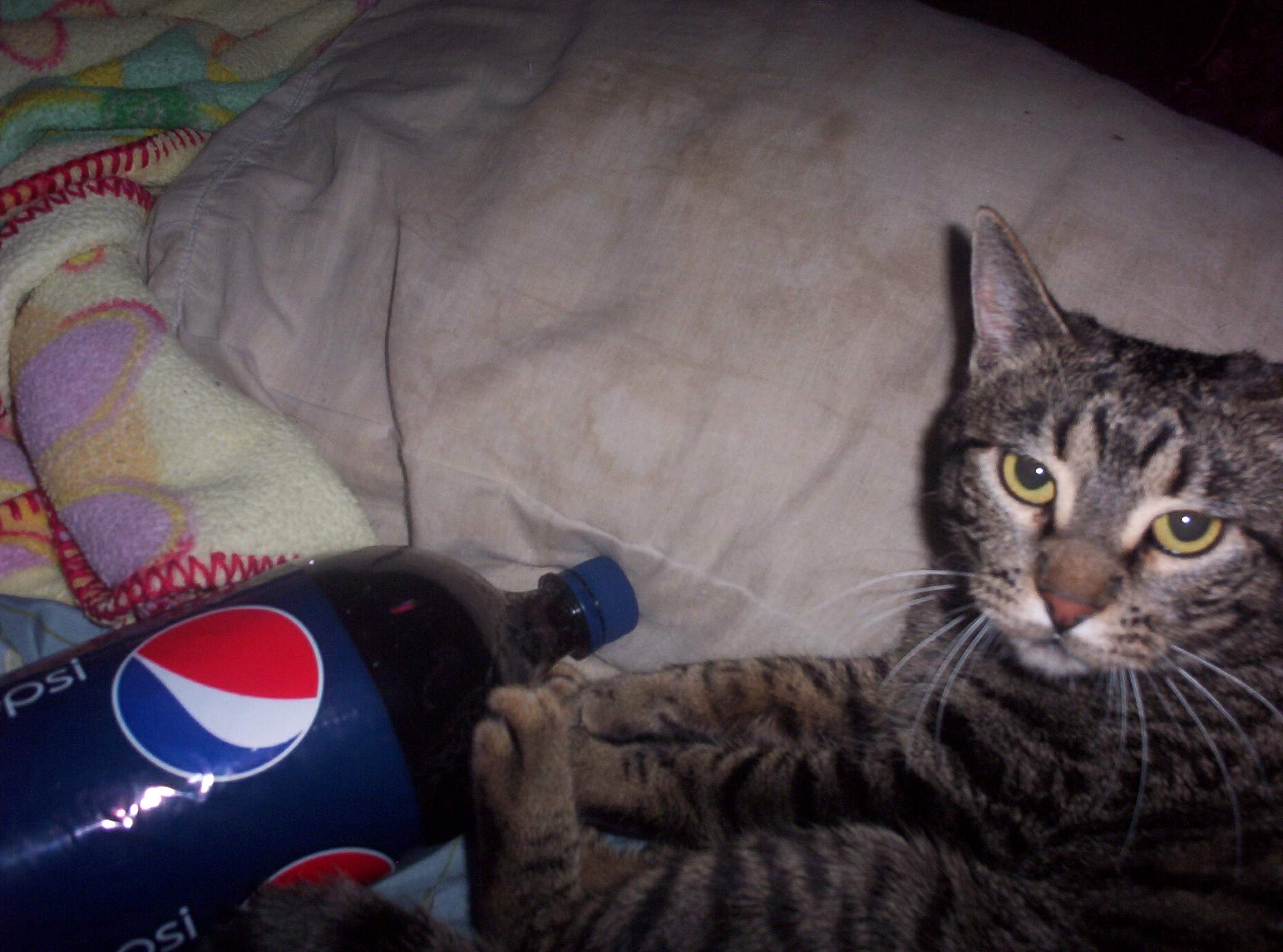 I wanted coke not pepsi, you so fired.