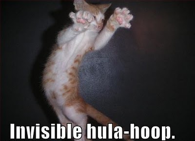 Cats With Invisible Things