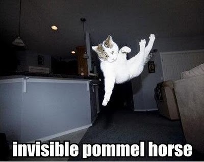 Cats With Invisible Things